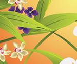 Leaves Illustrator